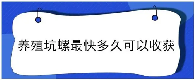 养殖坑螺最快多久可以收获 | 生活常识