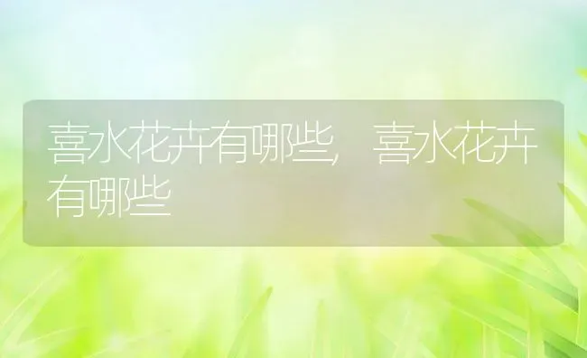 喜水花卉有哪些,喜水花卉有哪些 | 养殖常见问题