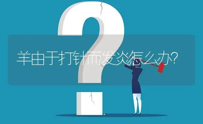 羊由于打针而发炎怎么办? | 养殖问题解答