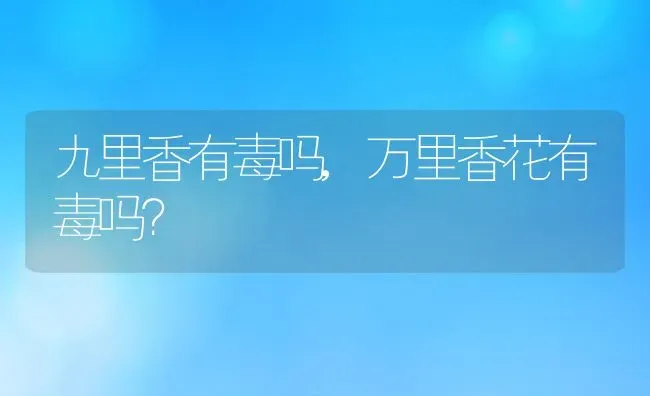 九里香有毒吗,万里香花有毒吗？ | 养殖常见问题