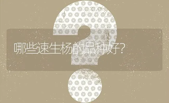 哪些速生杨的品种好? | 养殖问题解答