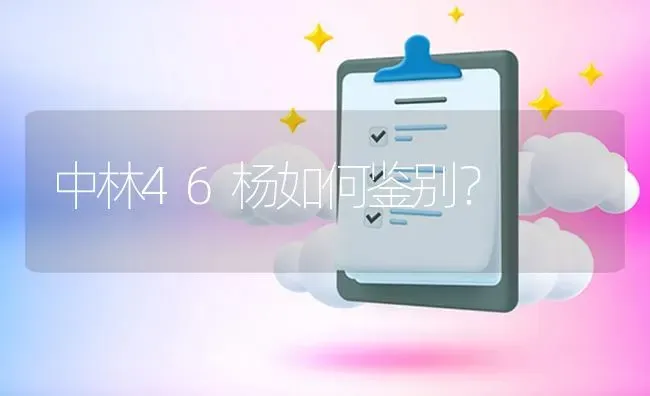 中林46杨如何鉴别? | 养殖问题解答