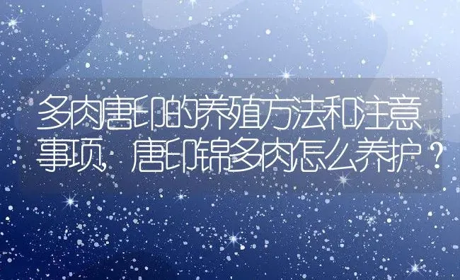 多肉唐印的养殖方法和注意事项,唐印锦多肉怎么养护？ | 养殖常见问题