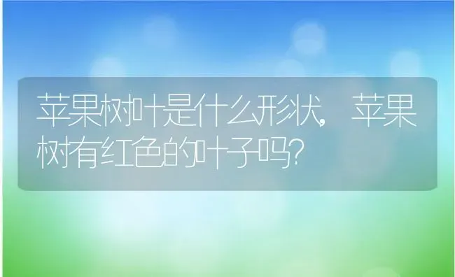 苹果树叶是什么形状,苹果树有红色的叶子吗？ | 养殖常见问题