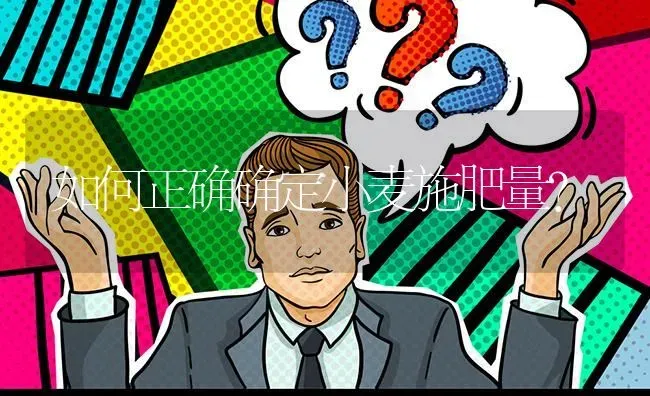 如何正确确定小麦施肥量? | 养殖问题解答