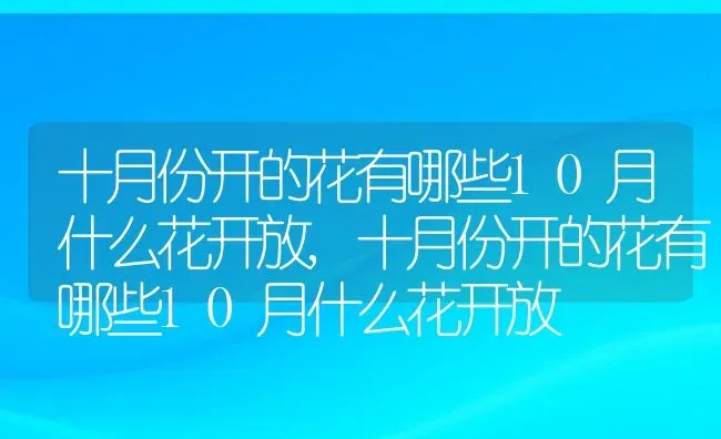 十月份开的花有哪些10月什么花开放,十月份开的花有哪些10月什么花开放 | 养殖常见问题