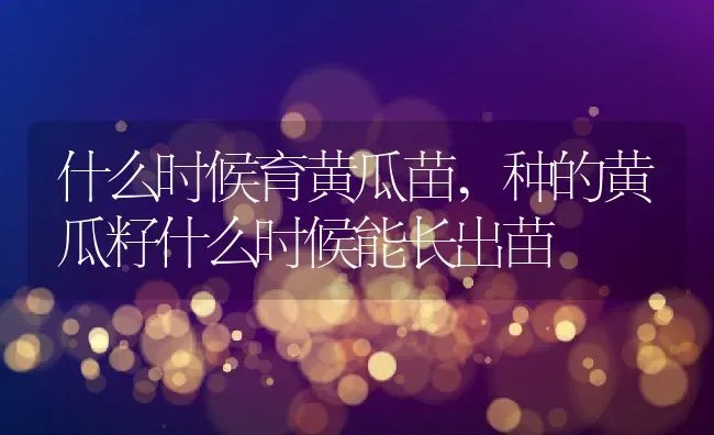 什么时候育黄瓜苗,种的黄瓜籽什么时候能长出苗 | 养殖常见问题