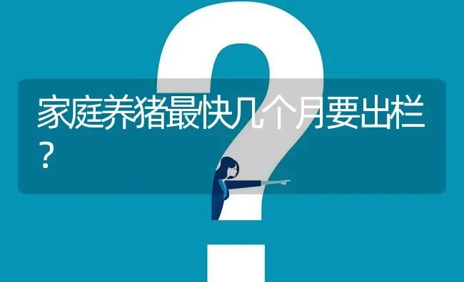 家庭养猪最快几个月要出栏? | 养殖问题解答