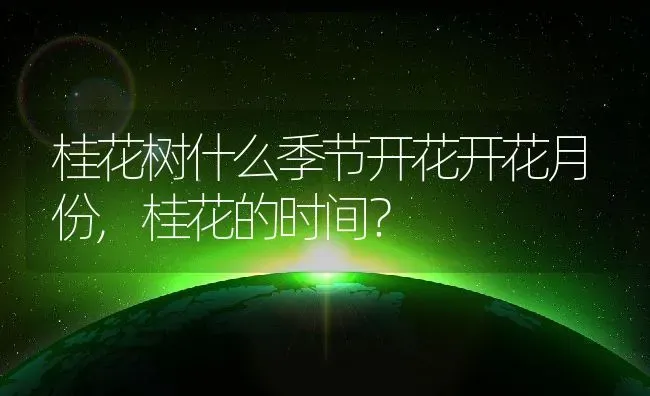 桂花树什么季节开花开花月份,桂花的时间？ | 养殖常见问题