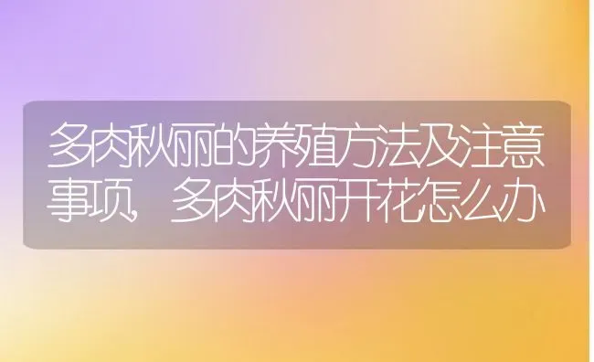 多肉秋丽的养殖方法及注意事项,多肉秋丽开花怎么办 | 养殖常见问题