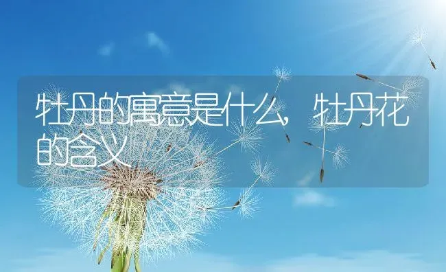 牡丹的寓意是什么,牡丹花的含义 | 养殖常见问题