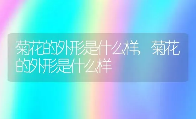 菊花的外形是什么样,菊花的外形是什么样 | 养殖常见问题