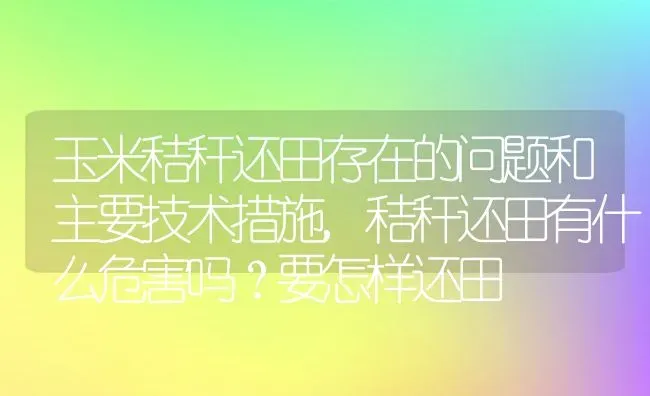 玉米秸秆还田存在的问题和主要技术措施,秸秆还田有什么危害吗？要怎样还田 | 养殖常见问题