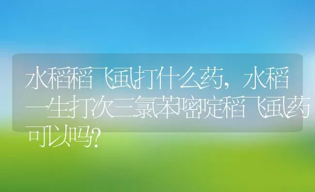水稻稻飞虱打什么药,水稻一生打次三氯苯嘧啶稻飞虱药可以吗？ | 养殖常见问题