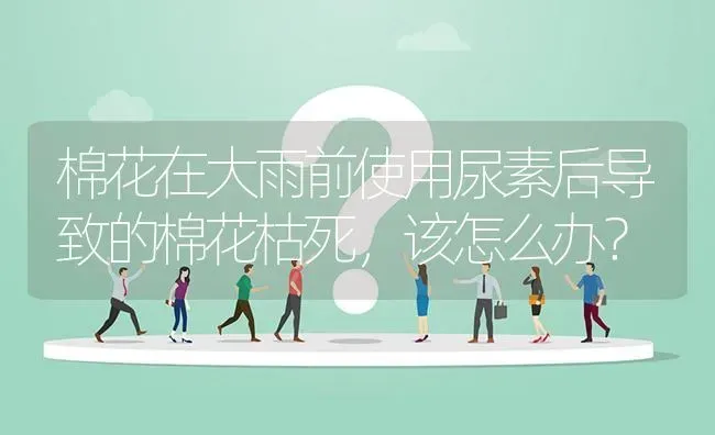 桔子表皮长包怎么办? | 养殖问题解答