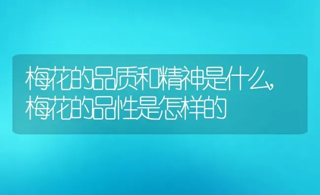 牛角菱怎么种植,像牛角一样的果实？ | 养殖常见问题