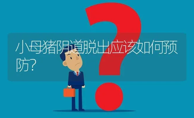 小母猪阴道脱出应该如何预防? | 养殖问题解答