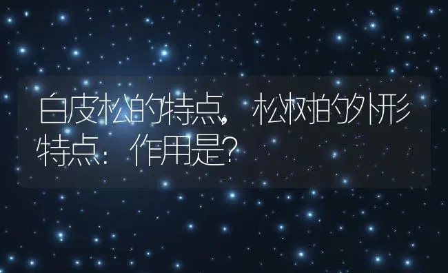 白皮松的特点,松树的外形特点：作用是？ | 养殖常见问题