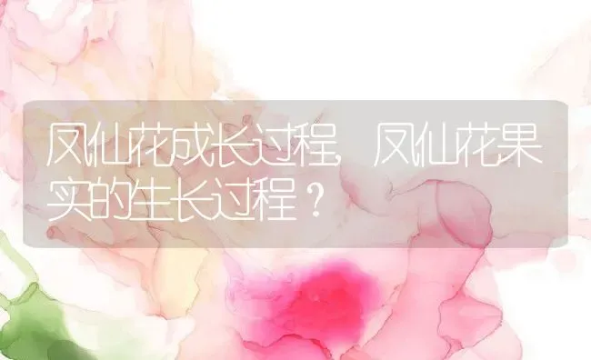 凤仙花成长过程,凤仙花果实的生长过程？ | 养殖常见问题