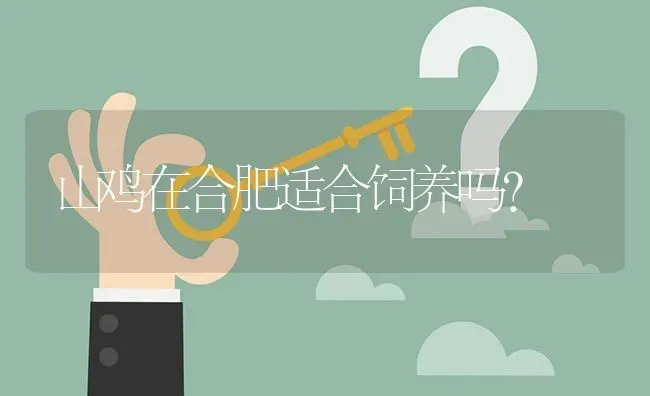 山鸡在合肥适合饲养吗? | 养殖问题解答