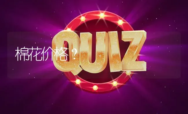 棉花价格? | 养殖问题解答