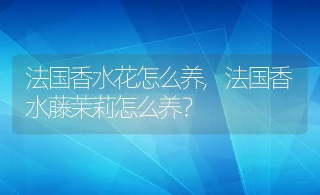 法国香水花怎么养,法国香水藤茉莉怎么养？ | 养殖常见问题