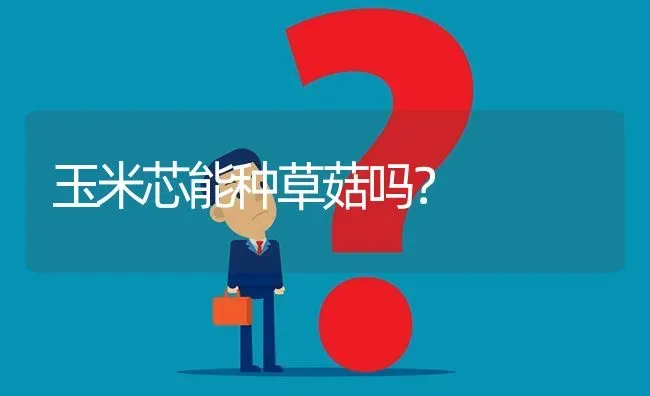 玉米芯能种草菇吗? | 养殖问题解答