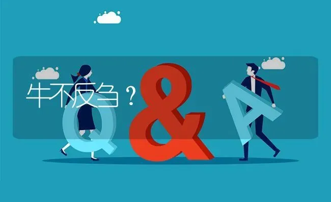 牛不反刍? | 养殖问题解答