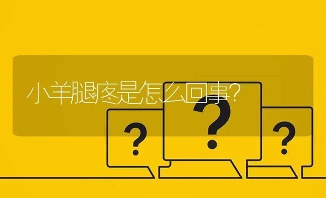 小羊腿疼是怎么回事? | 养殖问题解答