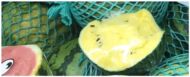 西瓜花腐病的防治措施 | 农业常识