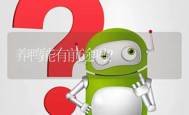 养鸭能有前途吗? | 养殖问题解答