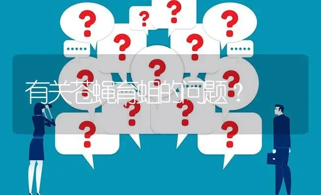 有关苍蝇育蛆的问题? | 养殖问题解答