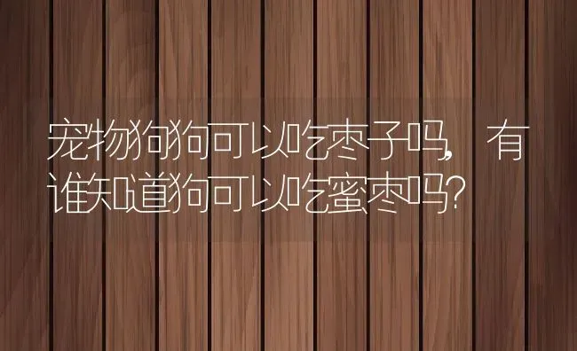 宠物狗狗可以吃枣子吗,有谁知道狗可以吃蜜枣吗？ | 养殖常见问题