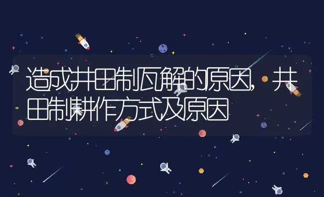 造成井田制瓦解的原因,井田制耕作方式及原因 | 养殖常见问题