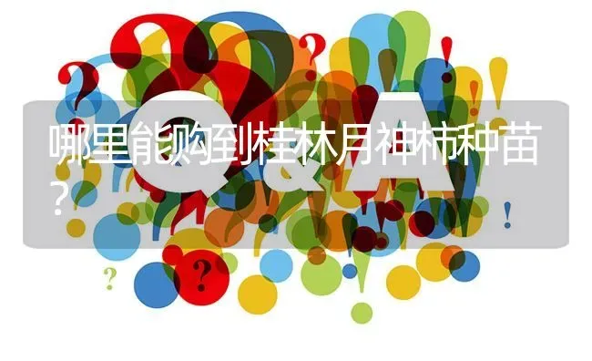 哪里能购到桂林月神柿种苗? | 养殖问题解答