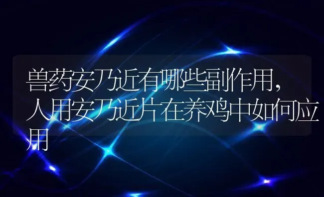 兽药安乃近有哪些副作用,人用安乃近片在养鸡中如何应用 | 养殖常见问题