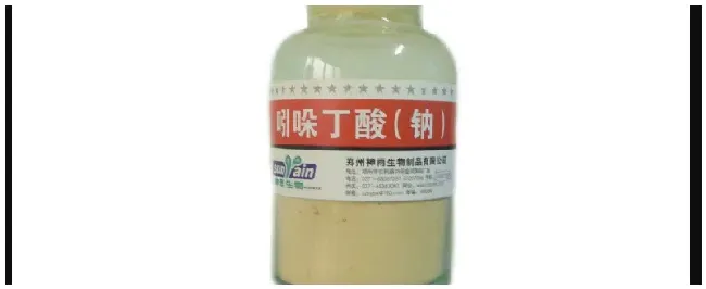 吲哚丁酸是不是植物激素 | 科普知识