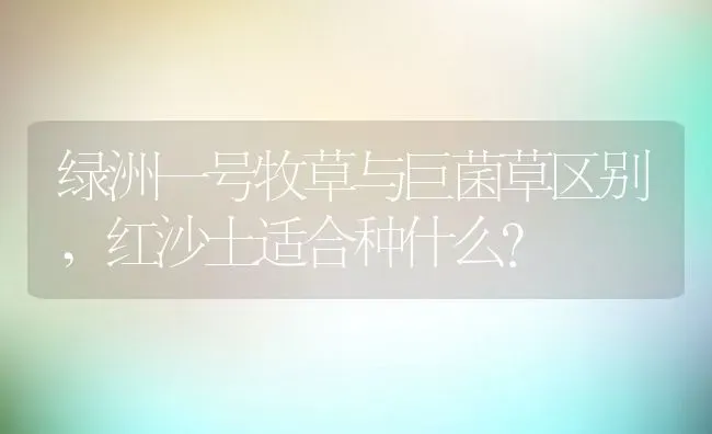 绿洲一号牧草与巨菌草区别,红沙土适合种什么？ | 养殖常见问题