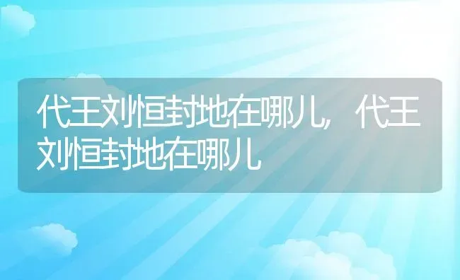 代王刘恒封地在哪儿,代王刘恒封地在哪儿 | 养殖常见问题