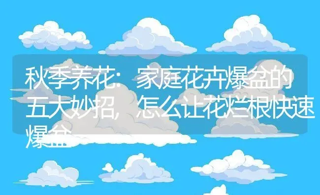 秋季养花:家庭花卉爆盆的五大妙招,怎么让花烂根快速爆盆 | 养殖常见问题