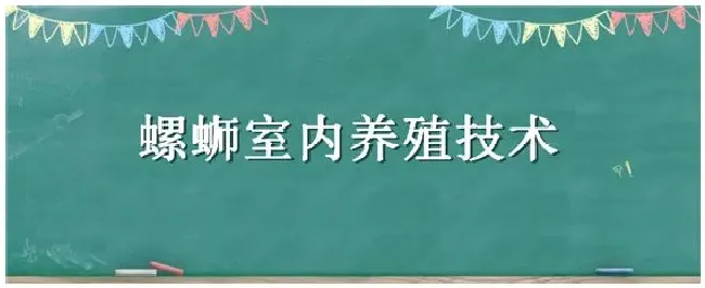 螺蛳室内养殖技术 | 农业答疑