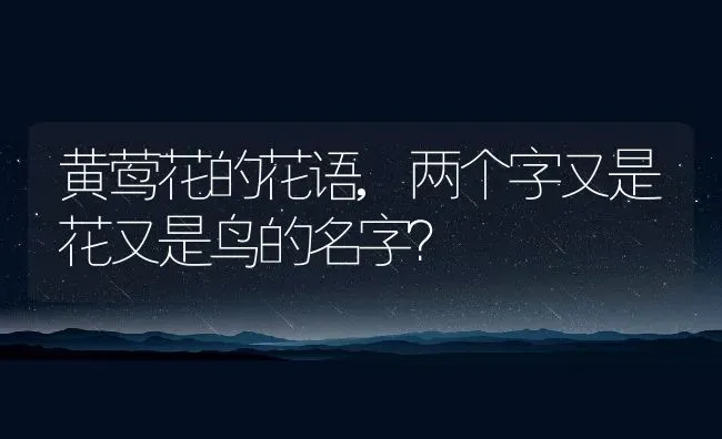 黄莺花的花语,两个字又是花又是鸟的名字？ | 养殖常见问题