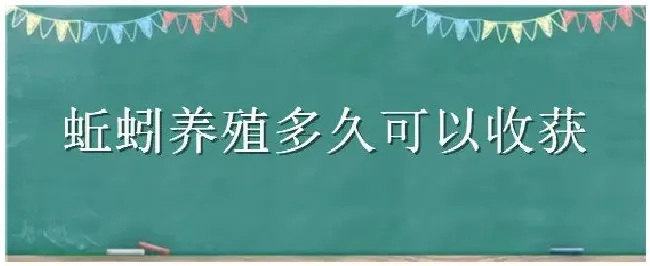 蚯蚓养殖多久可以收获 | 三农答疑