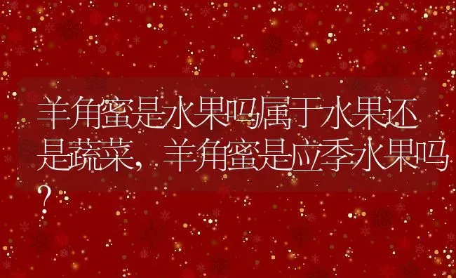 羊角蜜是水果吗属于水果还是蔬菜,羊角蜜是应季水果吗？ | 养殖常见问题