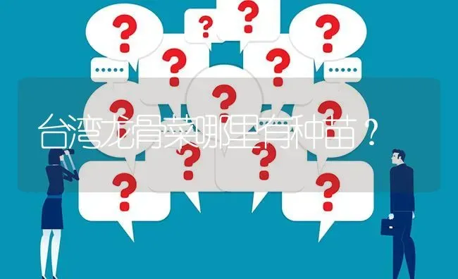 台湾龙骨菜哪里有种苗? | 养殖问题解答