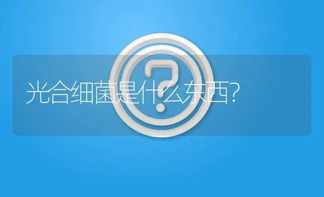 光合细菌是什么东西? | 养殖问题解答