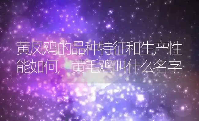 台湾特产水果有哪些,台湾主要盛产什么水果？ | 养殖常见问题