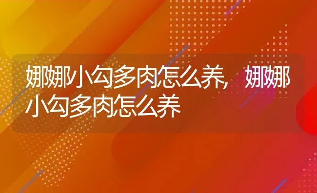 娜娜小勾多肉怎么养,娜娜小勾多肉怎么养 | 养殖常见问题