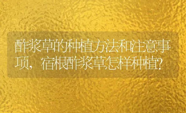酢浆草的种植方法和注意事项,宿根酢浆草怎样种植？ | 养殖常见问题