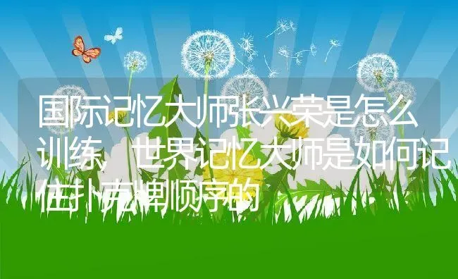 胭脂稻种植条件产地在哪些地方,胭脂稻种植条件产地在哪些地方 | 养殖常见问题